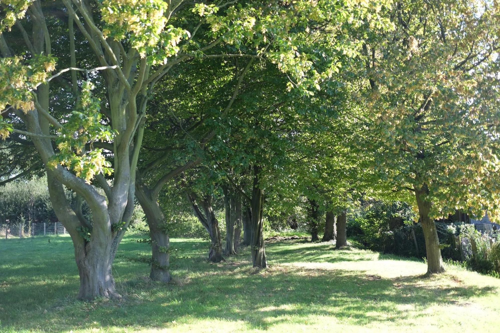 Little On The Yorkshire Wolds
